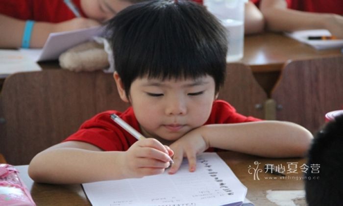 小學生參加勵志夏令營收獲更多的人生經(jīng)驗