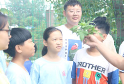 洛陽報名夏令營學費多少？