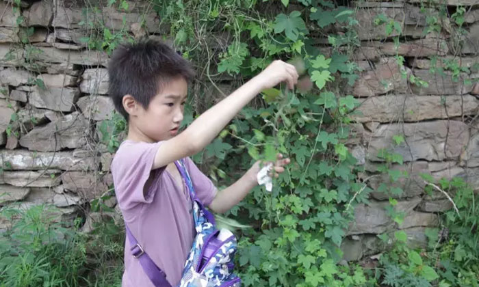 洛陽有哪些適合小學(xué)生的夏令營