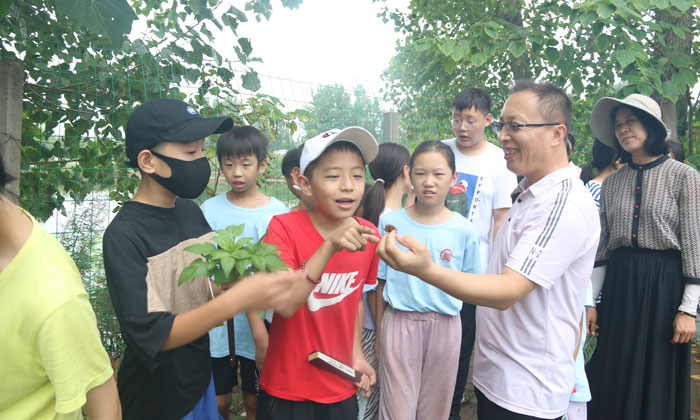 洛陽研學夏令營怎么樣