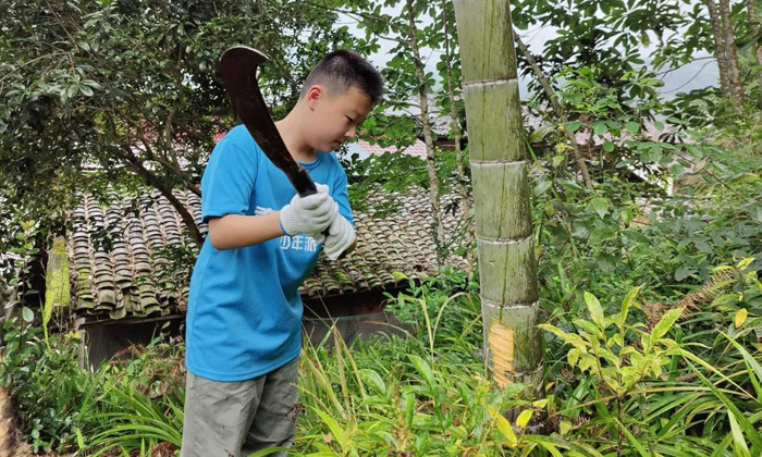 廬山青少年夏令營有效果嗎