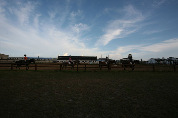 參加上海馬術夏令營前需要做哪些準備