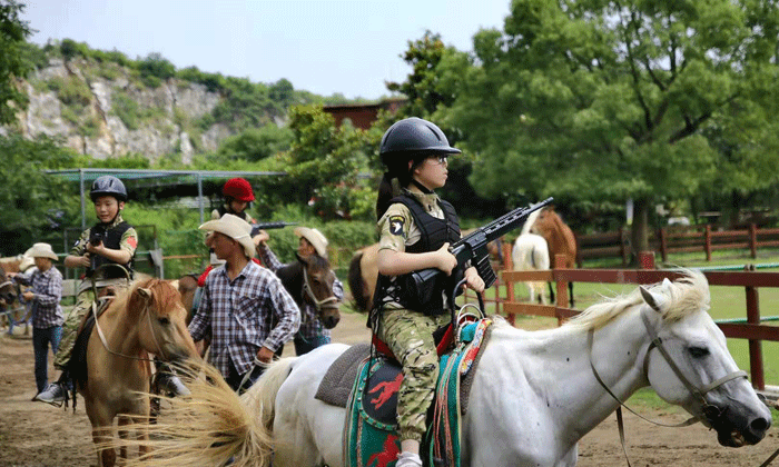 國內有哪些馬術夏令營