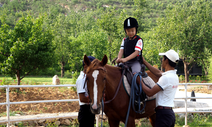 參加馬術(shù)特訓(xùn)首先要了解哪些