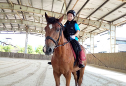 暑期如何為孩子選擇一個好的馬術(shù)夏令營？