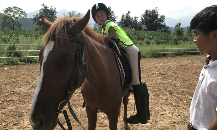 參加北京騎馬夏令營(yíng)教你騎馬技巧