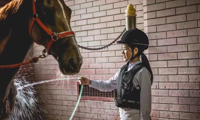 青少年馬術夏令營如何選擇
