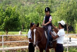 青少年馬術(shù)俱樂部有哪些便宜的活動？