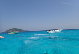 出海