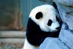 參加MyChildren親子游學(xué)感受親子真諦