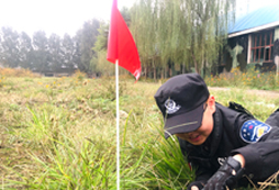 參加萌童走天下夏令營(yíng)學(xué)到哪些？