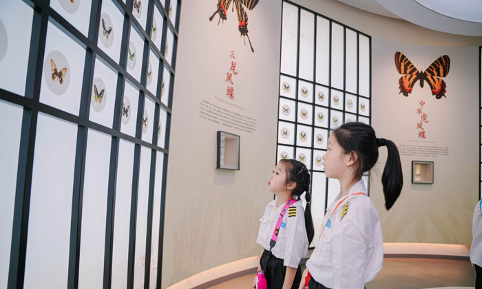 孩子們在參觀蝴蝶館