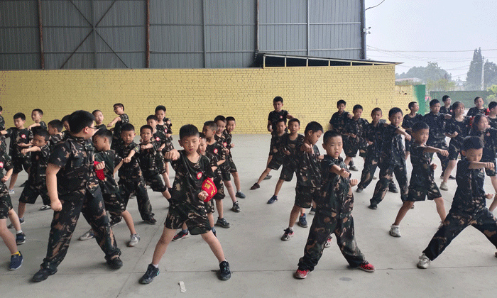 綿陽哪里有軍事夏令營