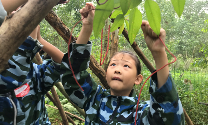 綿陽夏令營哪家好