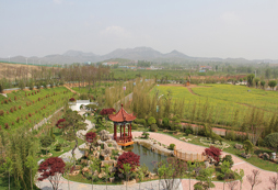 山東名將體育夏令營環(huán)境