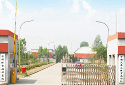 北京名將體育夏令營基地