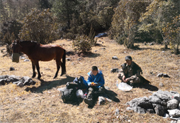 南京有性價比低的馬術(shù)夏令營嗎