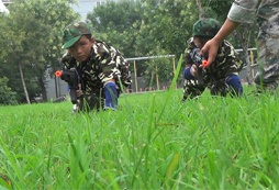 南京好的軍事夏令營課程有哪些？