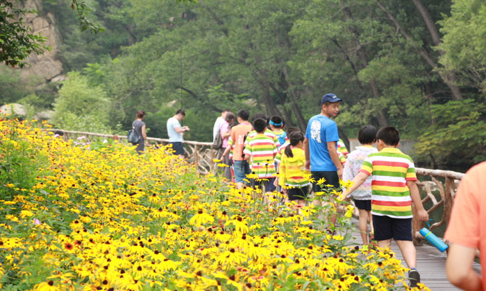 南京拓展夏令營(yíng)