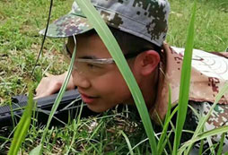 蒲廟周邊有適合小學(xué)生參加的軍事夏令營嗎？