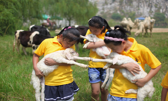 南通小學(xué)生夏令營報名多少錢