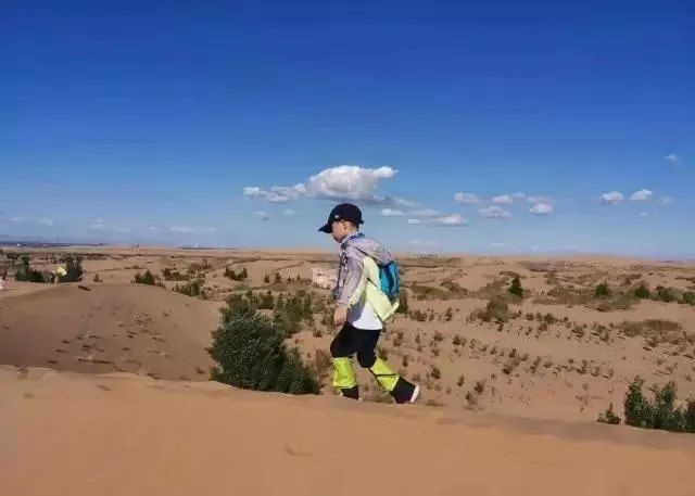 10806136832000484411.jpg