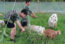 寧波軍事夏令營提升青少年綜合素質(zhì)