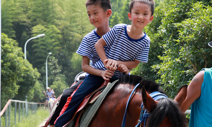 寧波夏令營(yíng)有哪些