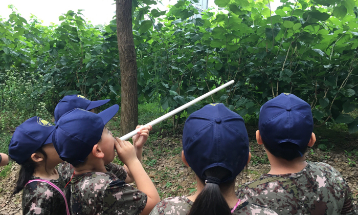 寧波夏令營報(bào)名費(fèi)用是多少