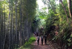 寧夏軍事訓練營的安全保障