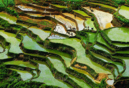 寧夏藝術(shù)夏令營(yíng)認(rèn)為硬學(xué)不會(huì)有好成績(jī)