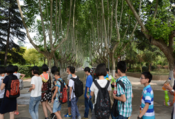 寧夏游學(xué)夏令營的服務(wù)優(yōu)勢有哪些