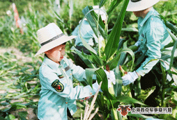 農村鄉(xiāng)村夏令營師資團隊怎么樣？