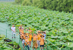 戶外4