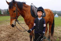 少年與馬兒