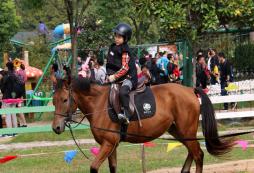 蘇州牛仔馬術(shù)夏令營的活動特色有哪些
