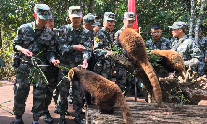 孩子參加軍事夏令營有哪些需要注意