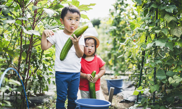 成都趕野戶外夏令營