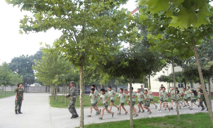 中國少年軍旅夏令營