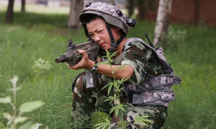 巨峰成長(zhǎng)軍事夏令營(yíng)