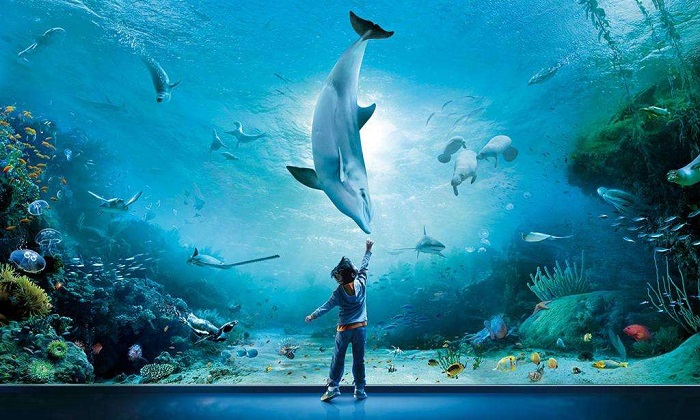 悉尼水族館1.jpg