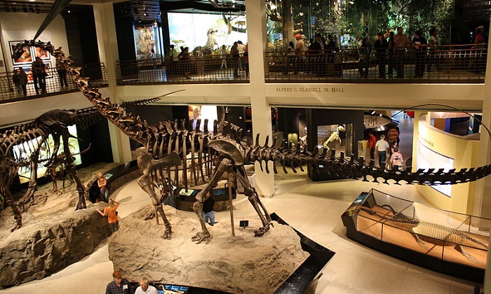 DNA-07-01.jpg