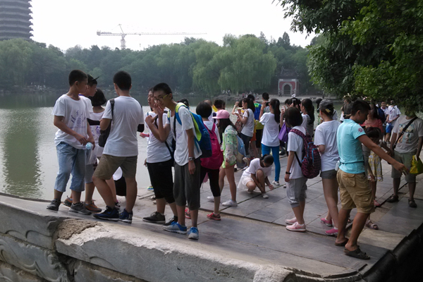 娛光前途的勵志夏令營