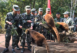 青少年參加普洱軍事夏令營(yíng)有什么好處？