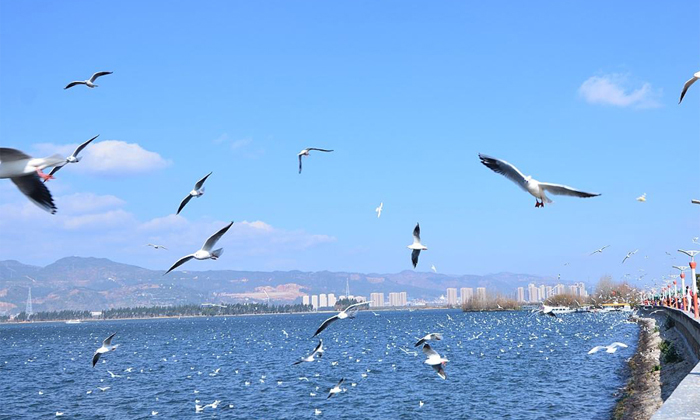 700 6海邊游玩.jpg