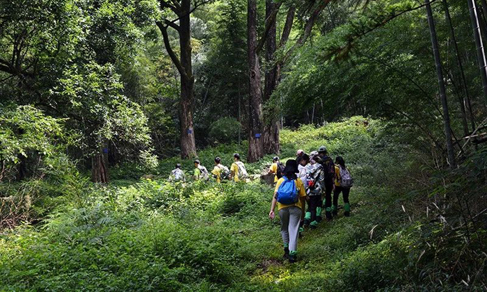 青島夏令營安全保障