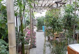 智新超越夏令營幫助孩子養(yǎng)成好的學習習慣