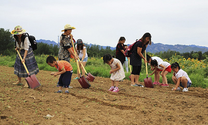 秦皇島體育夏令營價格