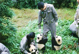 如何選擇一個(gè)合適的親子夏令營(yíng)呢？