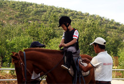 優(yōu)雅的馬術(shù)運(yùn)動(dòng)培養(yǎng)騎手的氣質(zhì)
